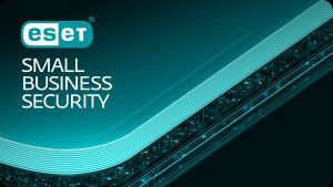 Eset Small Business Security 7 Kullanıcı 3 Yıl Online Lisans