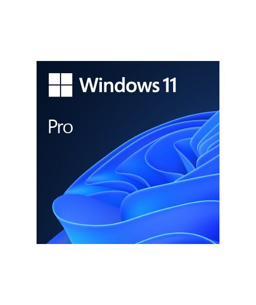 Windows 11 Professional Elektronik Lisans