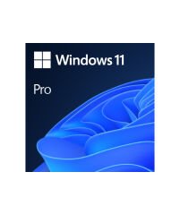 Windows 11 Professional Elektronik Lisans