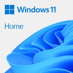 Windows 11 Home Elektronik Lisans