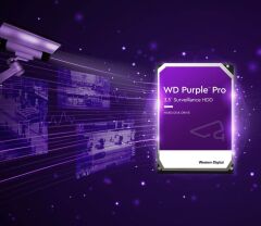 Wd Purple Pro Ai 10 Tb 7200rpm 256mb Sata3 550tb/y 7/24 (wd101purp)